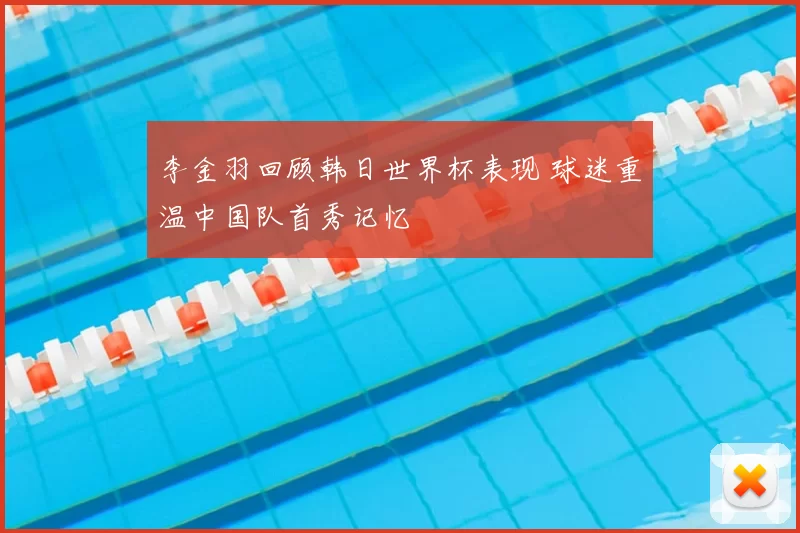 李金羽回顾韩日世界杯表现 球迷重温中国队首秀记忆