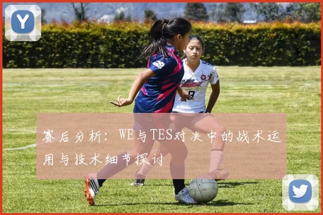 赛后分析：WE与TES对决中的战术运用与技术细节探讨