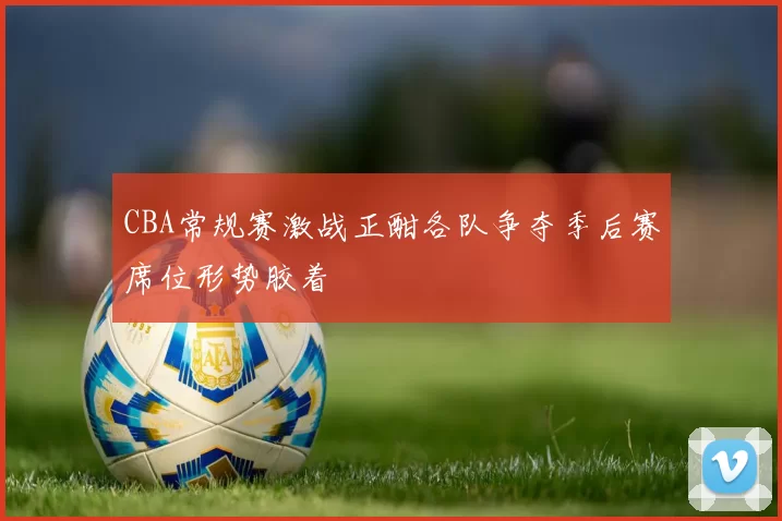 CBA常规赛激战正酣各队争夺季后赛席位形势胶着