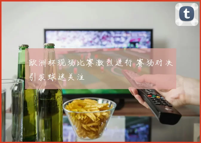 欧洲杯现场比赛激烈进行 赛场对决引发球迷关注