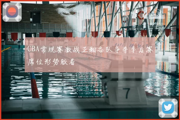CBA常规赛激战正酣各队争夺季后赛席位形势胶着