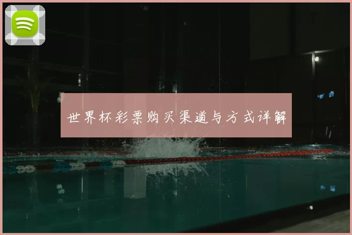 世界杯彩票购买渠道与方式详解