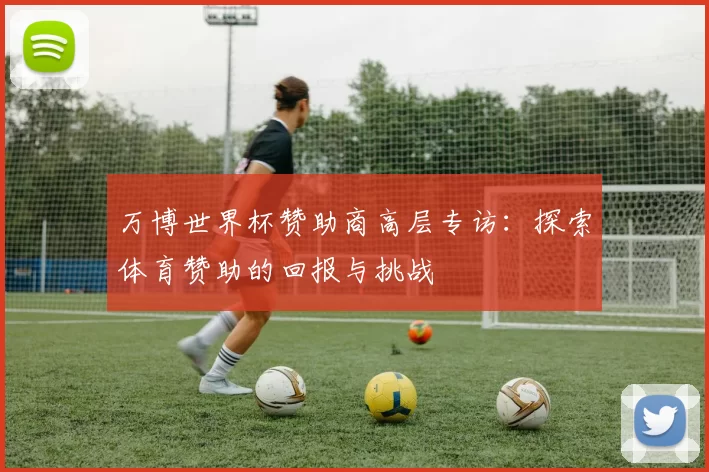 万博世界杯赞助商高层专访:探索体育赞助的回报与挑战
