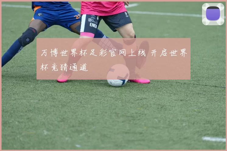 万博世界杯足彩官网上线 开启世界杯竞猜通道