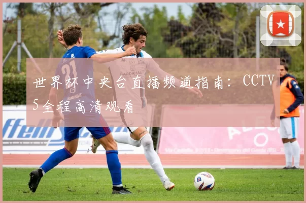 世界杯中央台直播频道指南:CCTV5全程高清观看